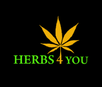 Cannabis Business Experts Herbs 4 you in Denver CO