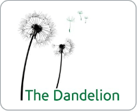 Cannabis Business Experts The Dandelion Dispensary in Boulder CO