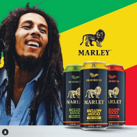Cannabis Business Experts MARLEY in Seattle WA