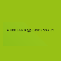 Cannabis Business Experts Weed Land Dispensary in  