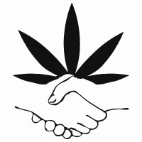 Cannabis Business Experts Clone Connect in San Diego CA