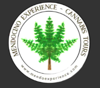 Cannabis Business Experts Mendocino Experience Tours in Ukiah CA