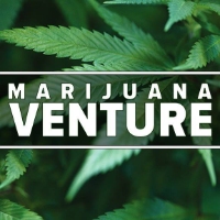 Cannabis Business Experts Marijuana Venture in  