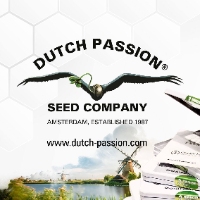 Cannabis Business Experts Dutch Passion in Amsterdam NH