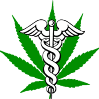 Cannabis Business Experts Coral Gables Medical Marijuana Doctors in Coral Gables FL