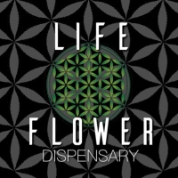 Cannabis Business Experts Life Flower Dispensary in Denver CO