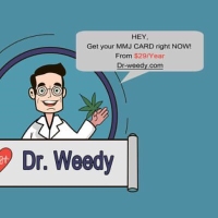 Dr. Weedy Clinic Online - San Jose