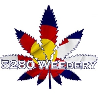 Cannabis Business Experts 5280 Weedery in Denver CO