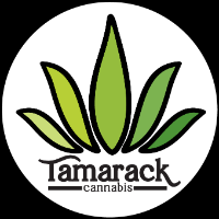 Cannabis Business Experts Tamarack Cannabis in Kalispell MT