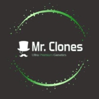 Mr.Clones