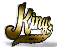 Cannabis Business Experts Kings Seedbank in Cleckheaton England