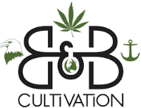 Cannabis Business Experts B&B Cultivation in Raymond ME