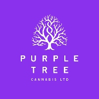 Purple Tree Cannabis - Mississauga Dispensary