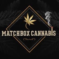 Cannabis Business Experts Matchbox Cannabis in Sault Ste. Marie ON