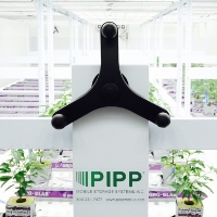 PIPP Horticulture