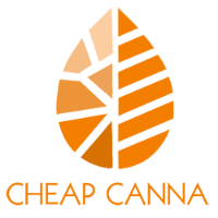 Cheap Canna