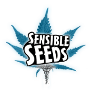 Cannabis Business Experts Sensible Seeds in Hayling Island England