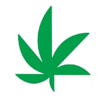 Cannabis Business Experts Marijuana Matters in Washington DC