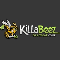Cannabis Business Experts KillaBeez Seeds in Portishead England