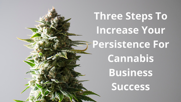 Increase Your Persistence For Cannabis Business Success