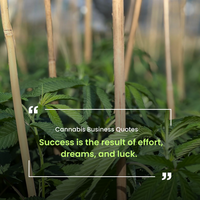 Canva Instagram Cannabis Business Quote Template Download
