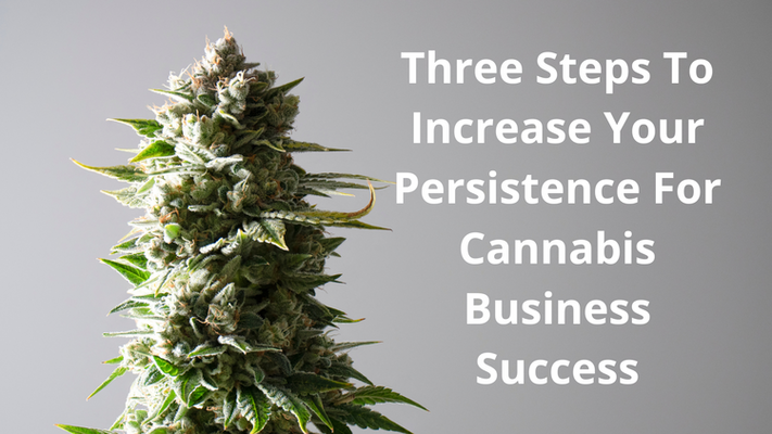 Increase Your Persistence For Cannabis Business Success