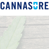 Cannabis Business Experts Cannasure in Redondo Beach CA