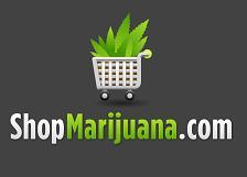 We Invite You To Create Your Business Story | ShopMarijuana.com Annual Business Page
