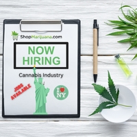 New York: The Cannabis Industry Is Hiring in NY
