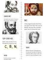 History Of Cannabis - The History Of The Cannabis Plant