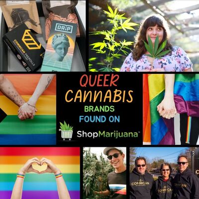 Cannabis Business with Pride: Fabulous Queer-Owned Cannabis Brands