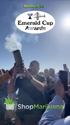 The Cannabis Cup Awards 2023: Unveiling the Finest in Cannabis Excellence at The Emerald Cup